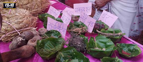 मेले में प्रदर्शित जड़ी बुटी.